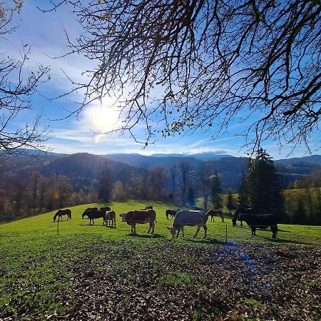 Апартаменти Erlebnisbauernhof Gutschi Ranch Kamp Екстер'єр фото