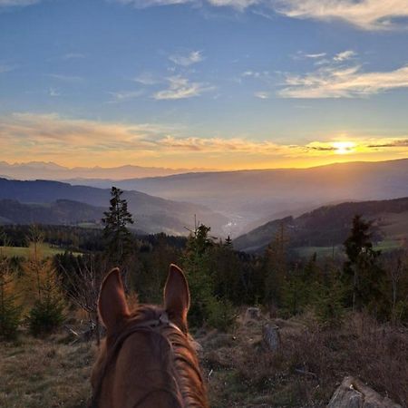 Erlebnisbauernhof Gutschi Ranch Kamp Екстер'єр фото