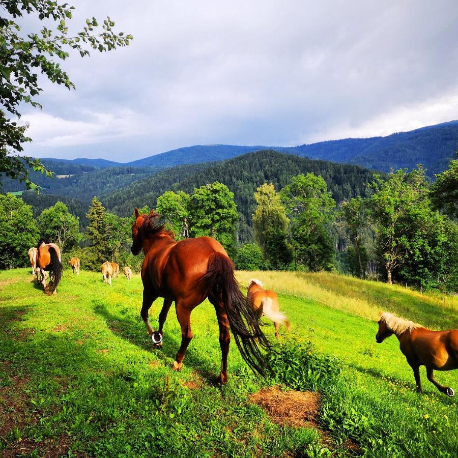 Erlebnisbauernhof Gutschi Ranch Kamp Екстер'єр фото