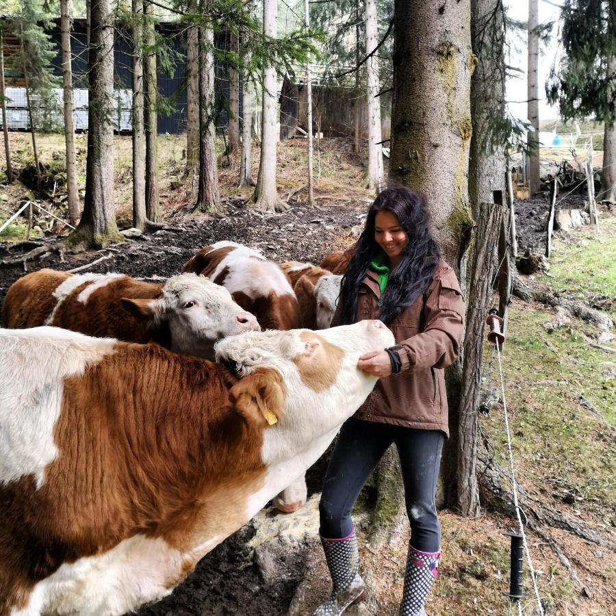 Erlebnisbauernhof Gutschi Ranch Kamp Екстер'єр фото