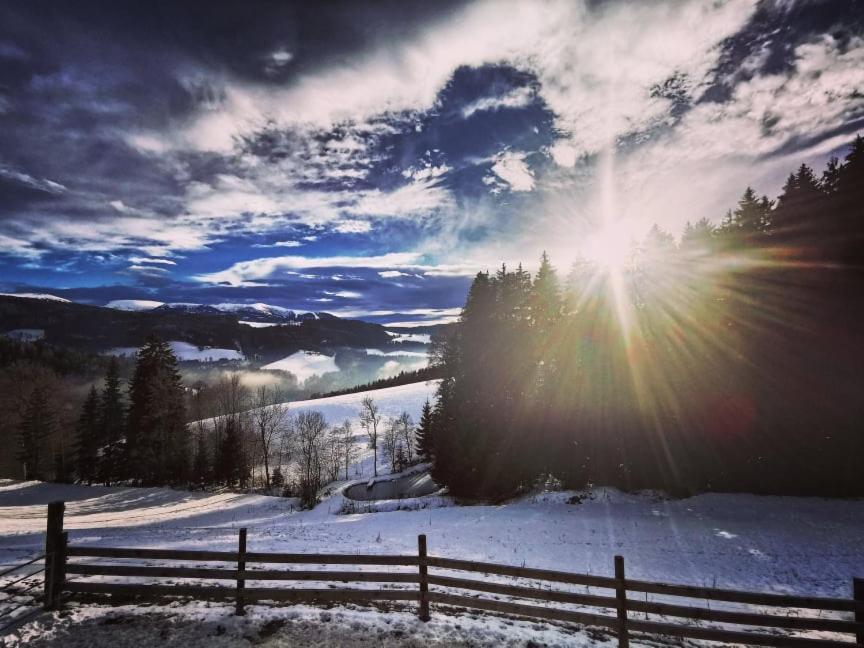 Erlebnisbauernhof Gutschi Ranch Kamp Екстер'єр фото