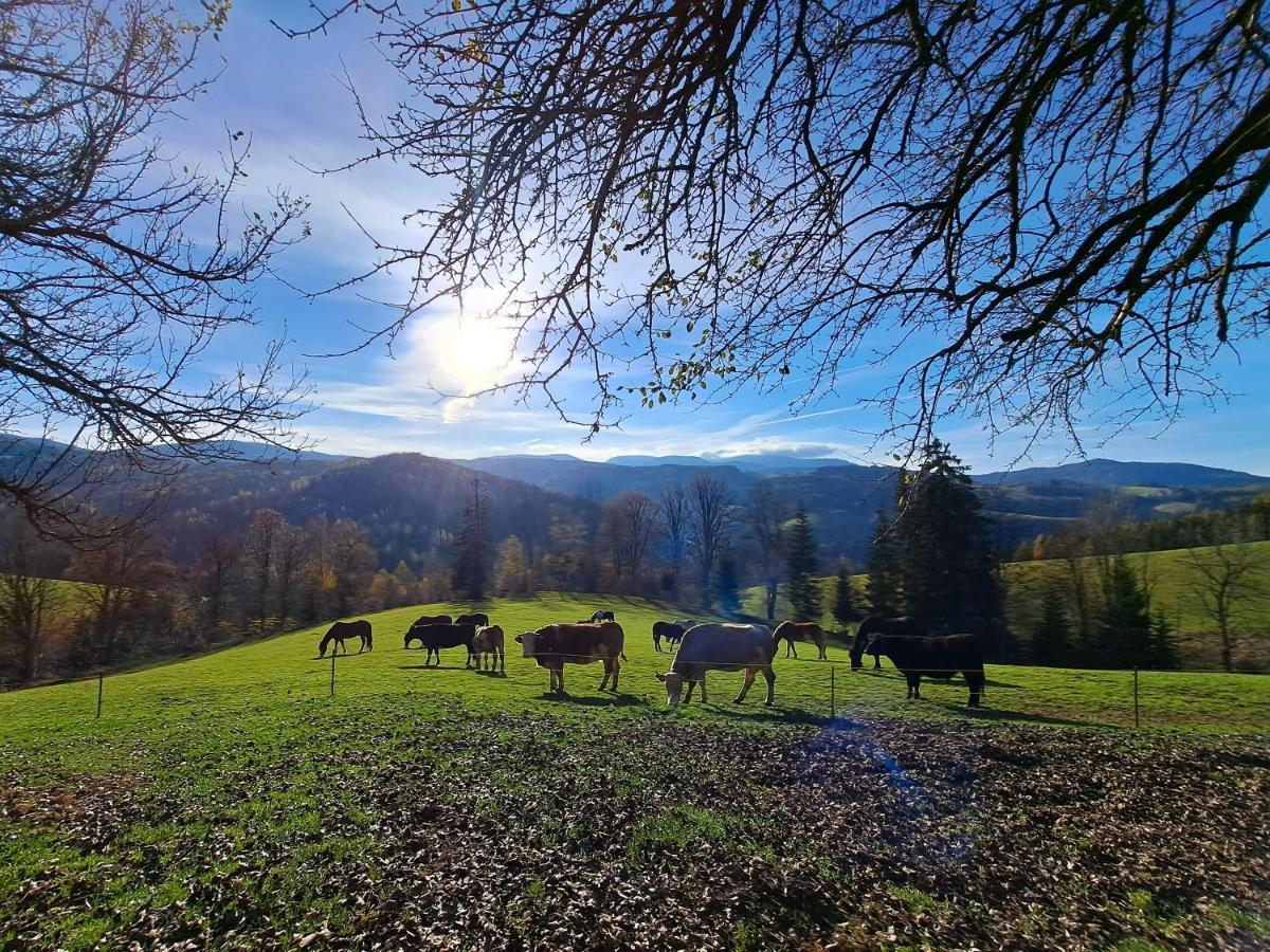 Erlebnisbauernhof Gutschi Ranch Kamp Екстер'єр фото