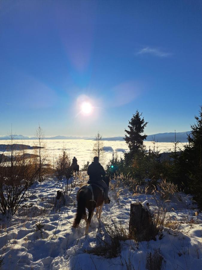 Erlebnisbauernhof Gutschi Ranch Kamp Екстер'єр фото
