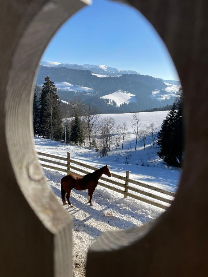 Erlebnisbauernhof Gutschi Ranch Kamp Екстер'єр фото