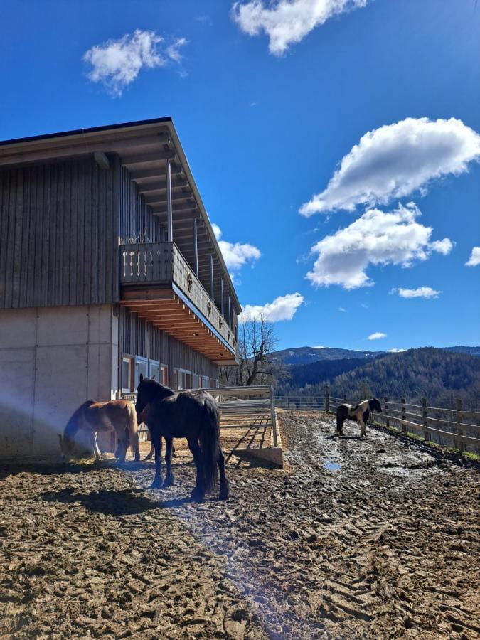 Erlebnisbauernhof Gutschi Ranch Kamp Екстер'єр фото