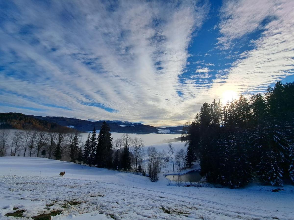 Erlebnisbauernhof Gutschi Ranch Kamp Екстер'єр фото