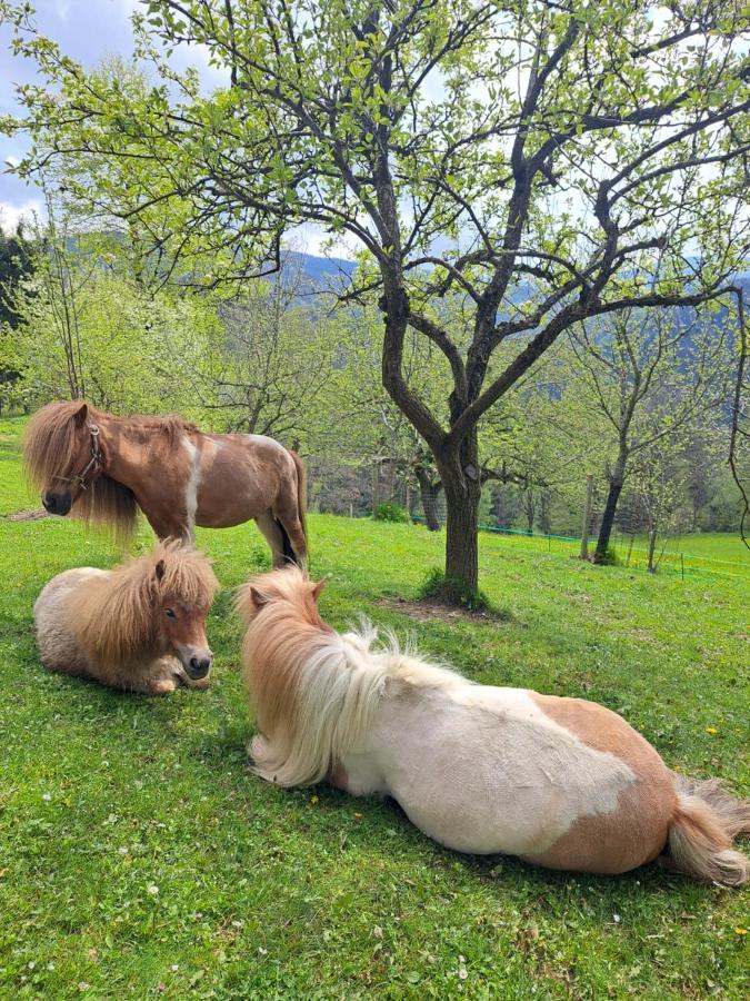 Апартаменти Erlebnisbauernhof Gutschi Ranch Kamp Екстер'єр фото