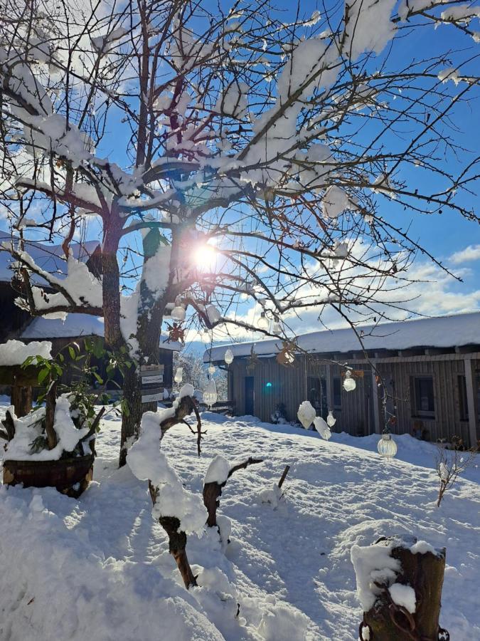 Erlebnisbauernhof Gutschi Ranch Kamp Екстер'єр фото