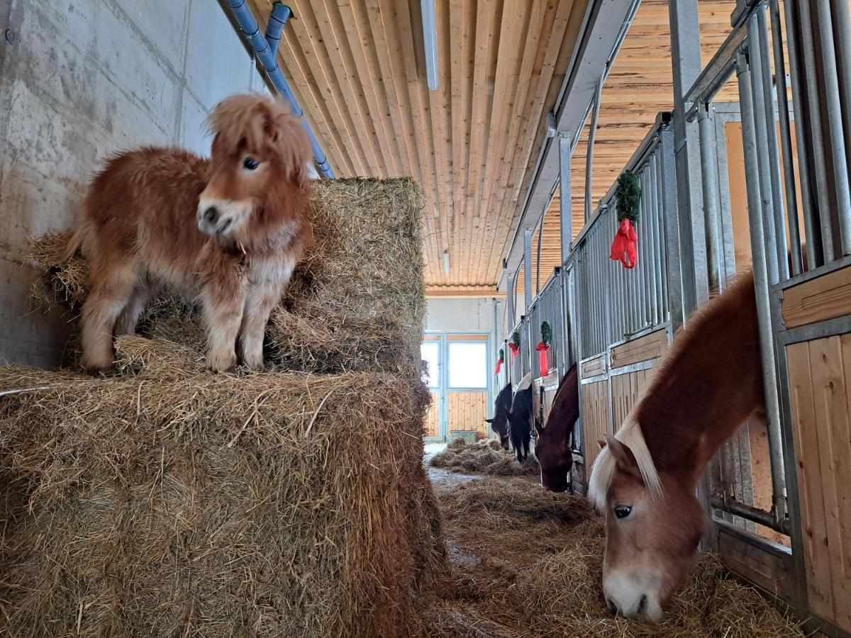 Erlebnisbauernhof Gutschi Ranch Kamp Екстер'єр фото
