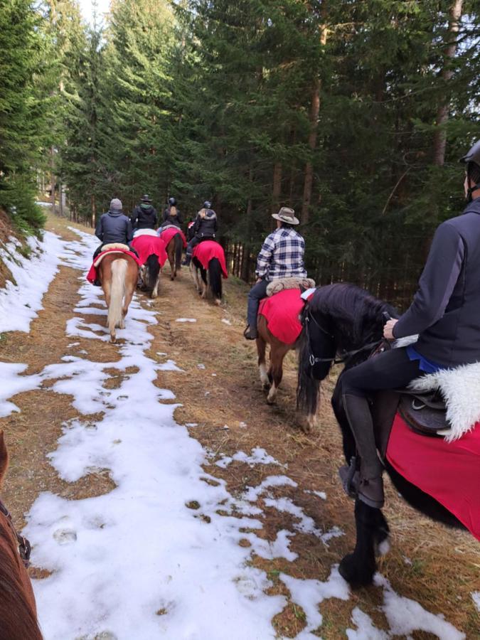 Erlebnisbauernhof Gutschi Ranch Kamp Екстер'єр фото