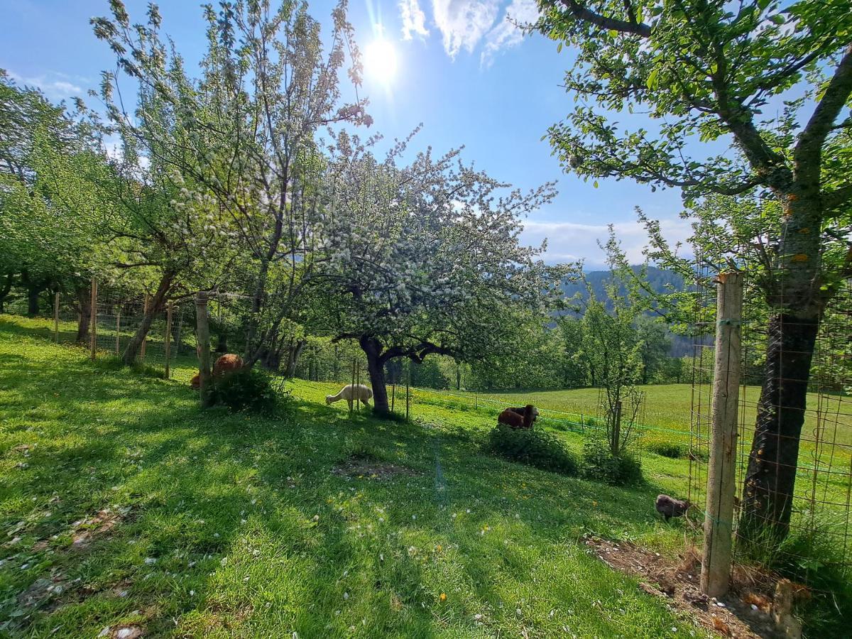 Erlebnisbauernhof Gutschi Ranch Kamp Екстер'єр фото