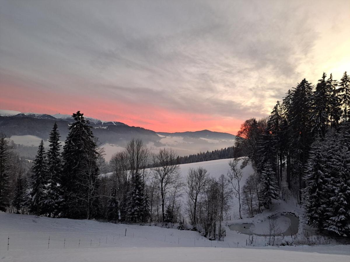 Erlebnisbauernhof Gutschi Ranch Kamp Екстер'єр фото